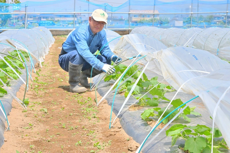 農作業をする山本ふみひろ1