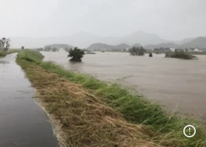 2019年の台風19号